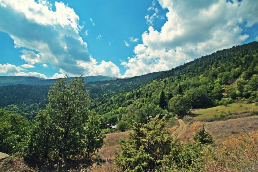 Omilaia Gardiki Exterior photo